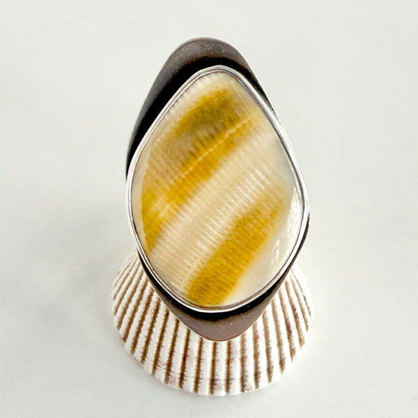 Specimen Ring - Shell - Sterling Silver - Size 7