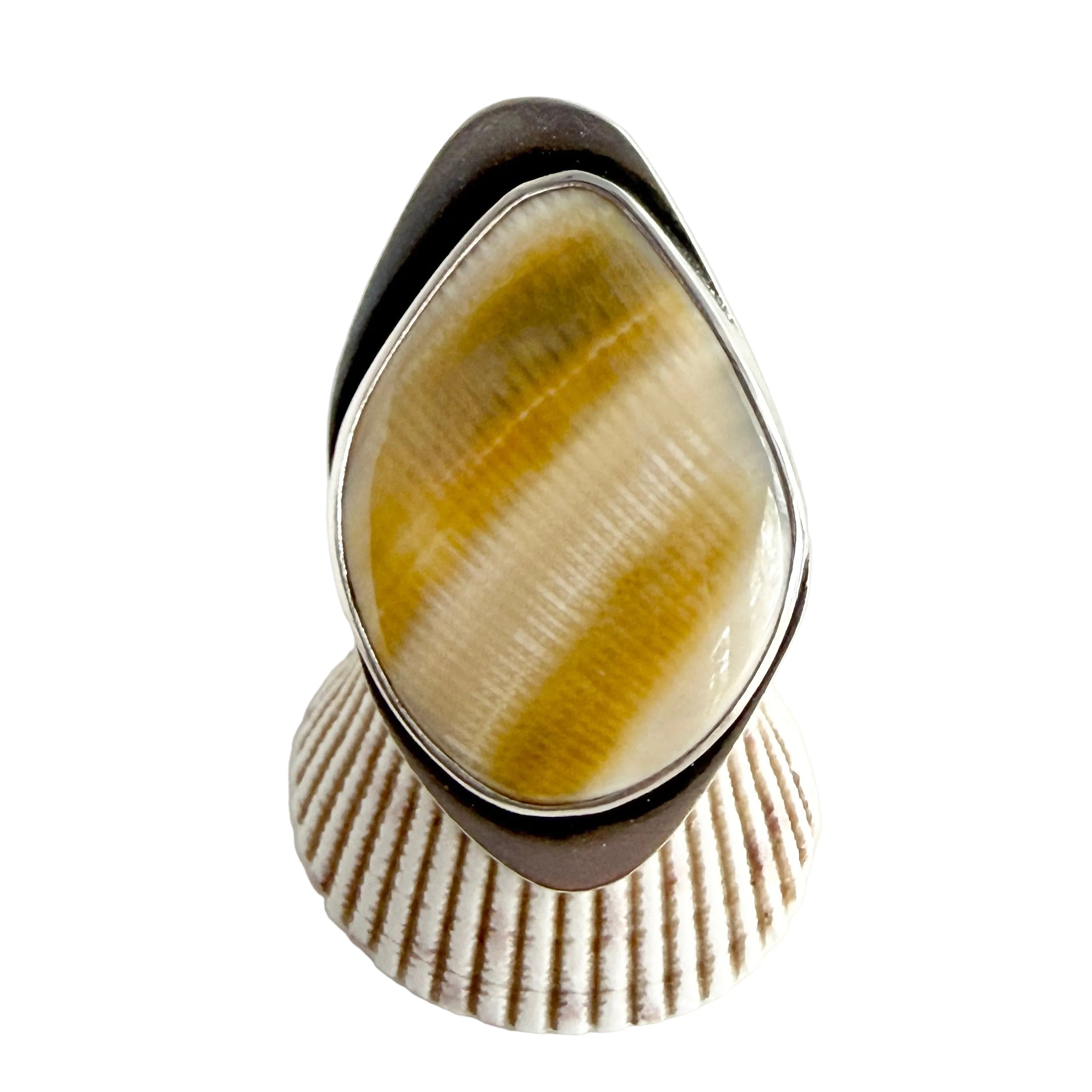Specimen Ring - Shell - Sterling Silver - Size 7